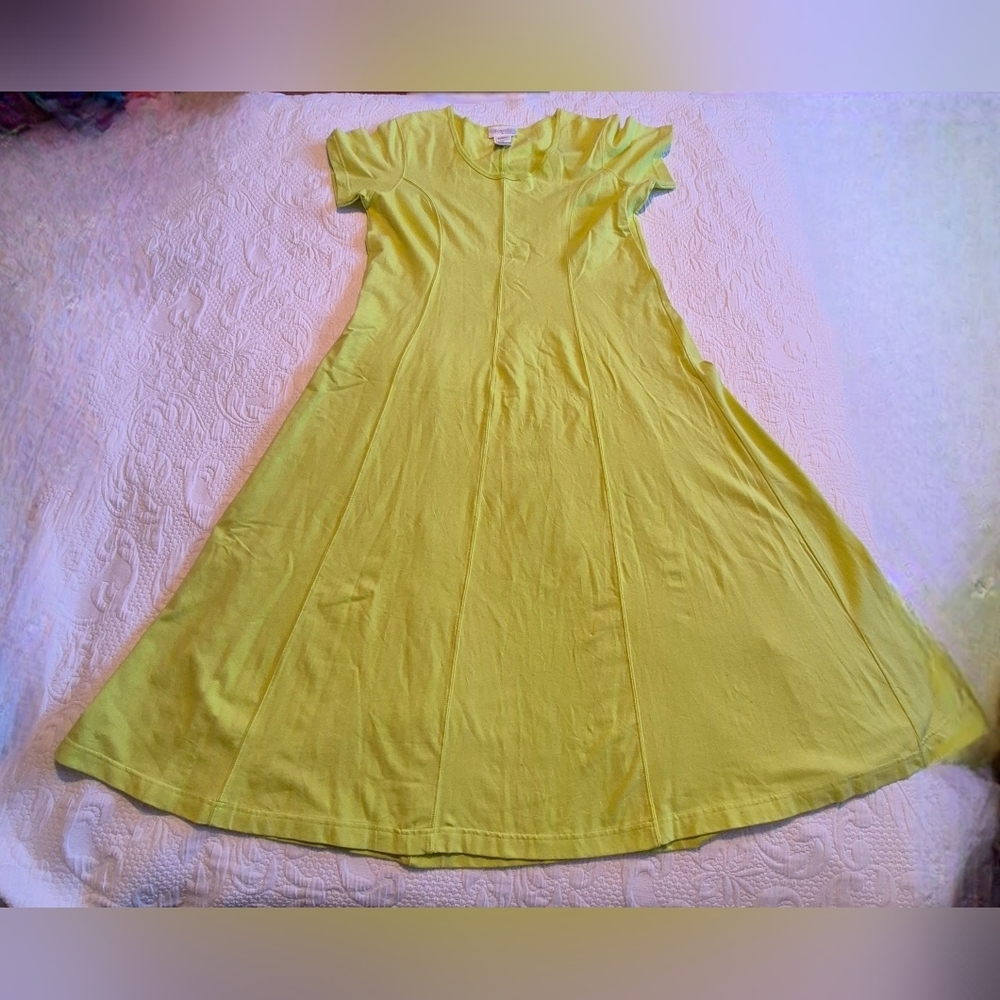 Chadwick's women's XL Lime maxi short sleeve dress 2 tiny marks otherwise VGUC